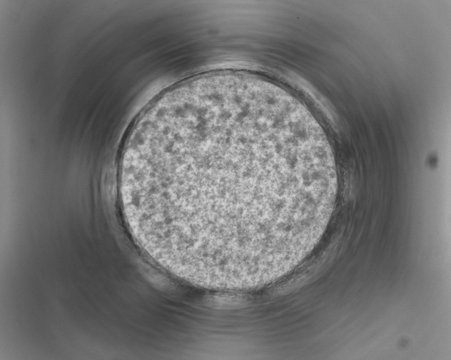 X0000116551274201001211154