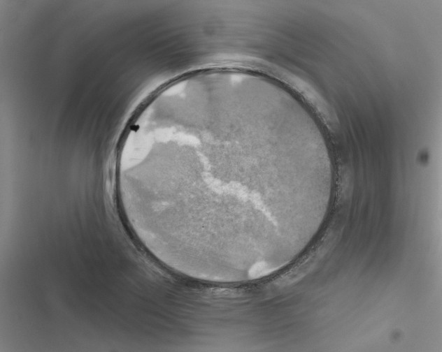 X0000116551275201001211154