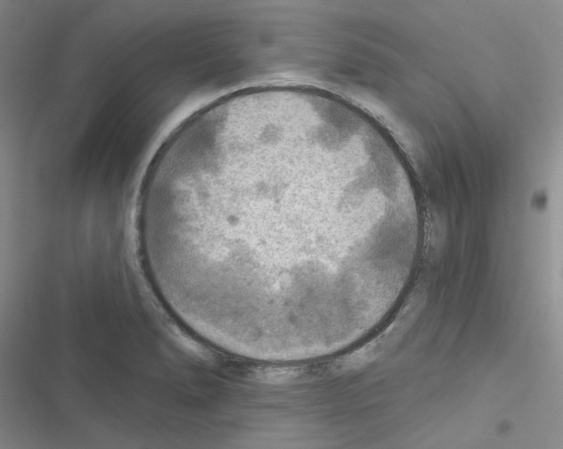 X0000116551278201001211154