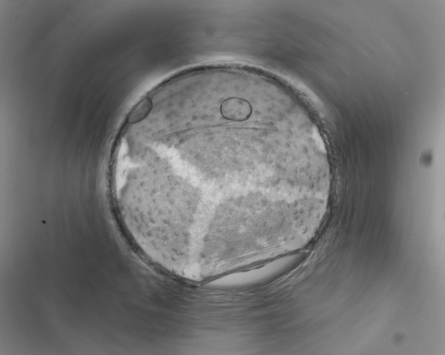 X0000116551279201001211154