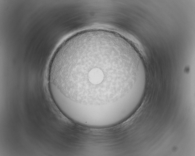 X0000116551280201001211154