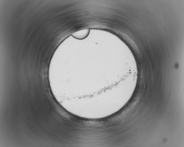 X0000116551281201001211154