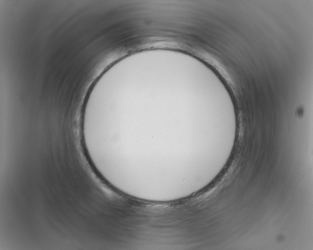 X0000116551282201001211154