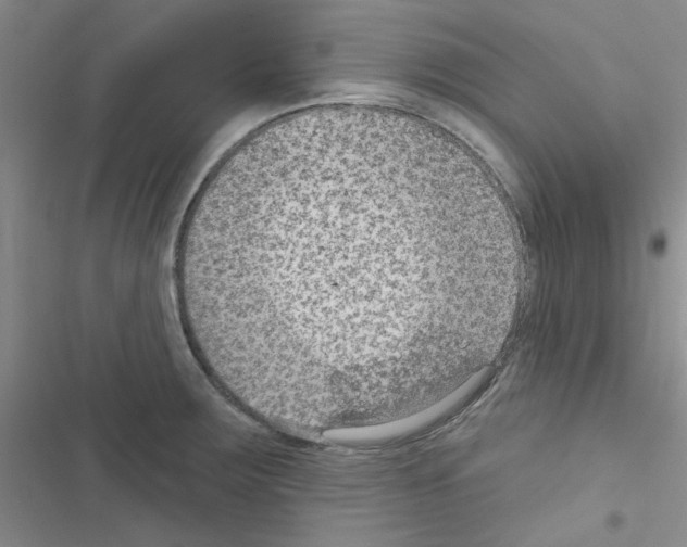 X0000116551283201001211154