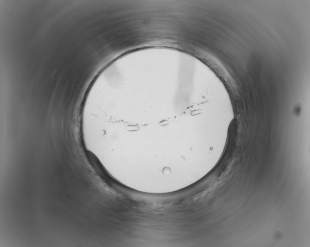 X0000116551284201001211154