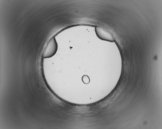 X0000116551285201001211154