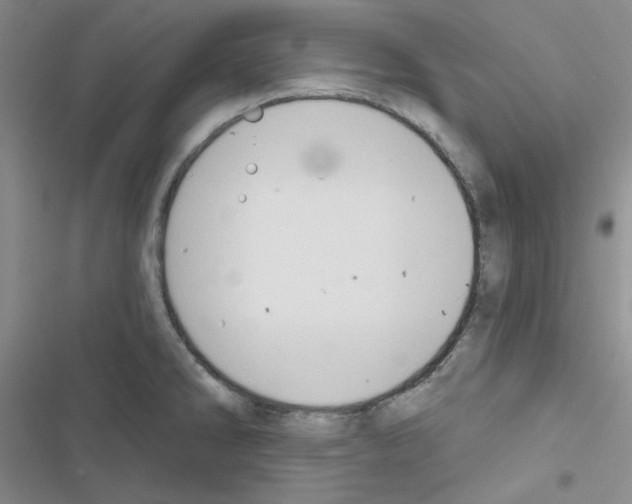 X0000116551286201001211154