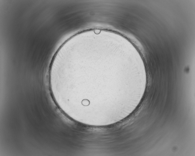 X0000116551287201001211154