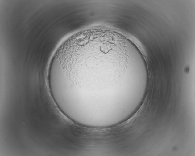 X0000116551288201001211154