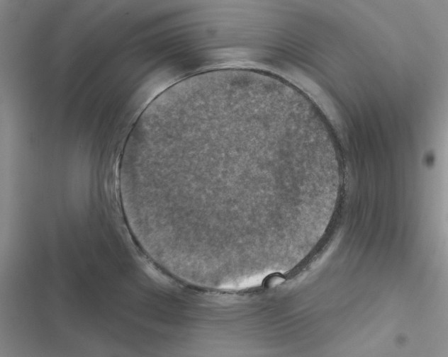 X0000116551289201001211154