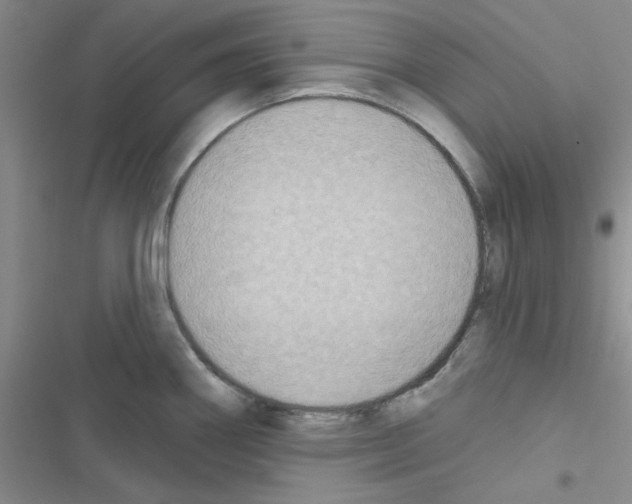 X0000116551290201001211154