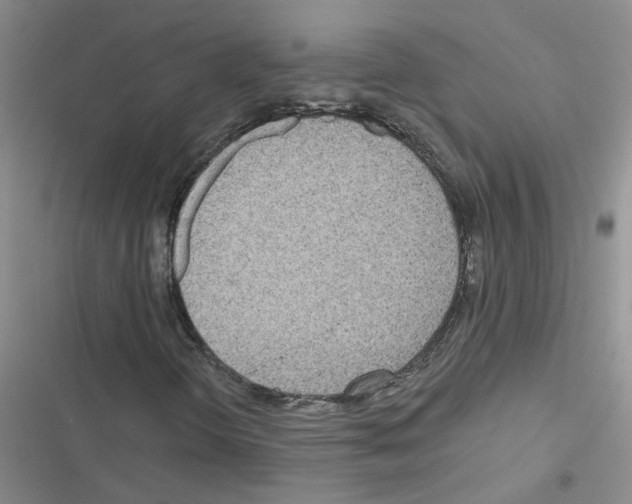 X0000116551298201001211153