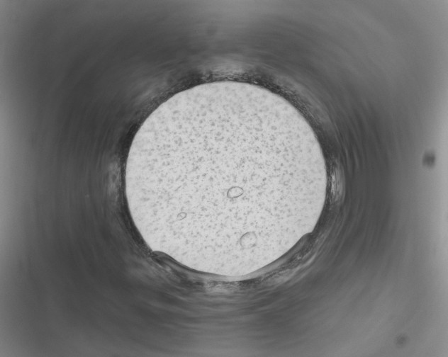 X0000116551299201001211153