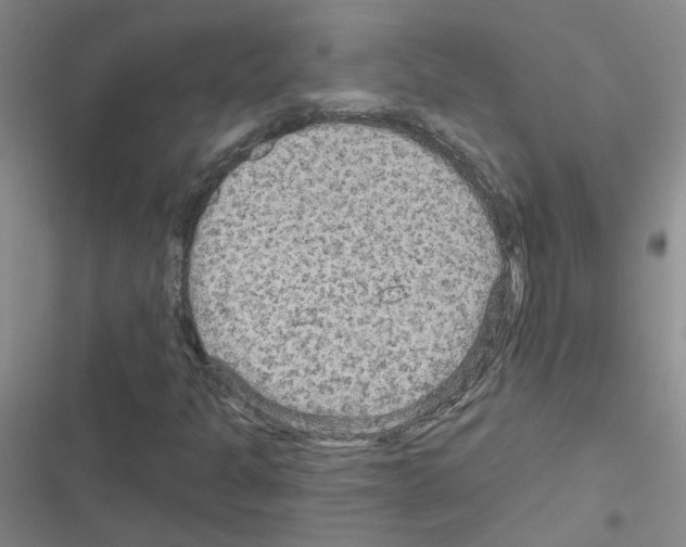 X0000116551301201001211153