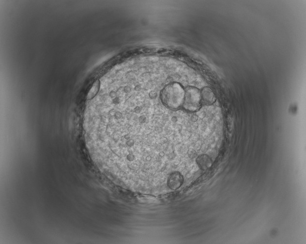 X0000116551302201001211153