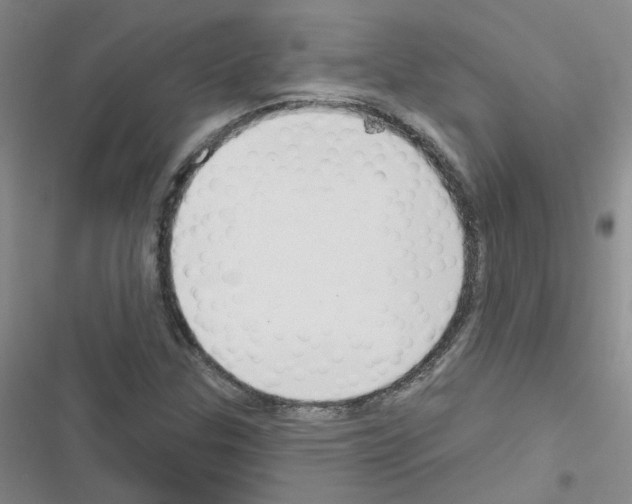 X0000116551307201001211153