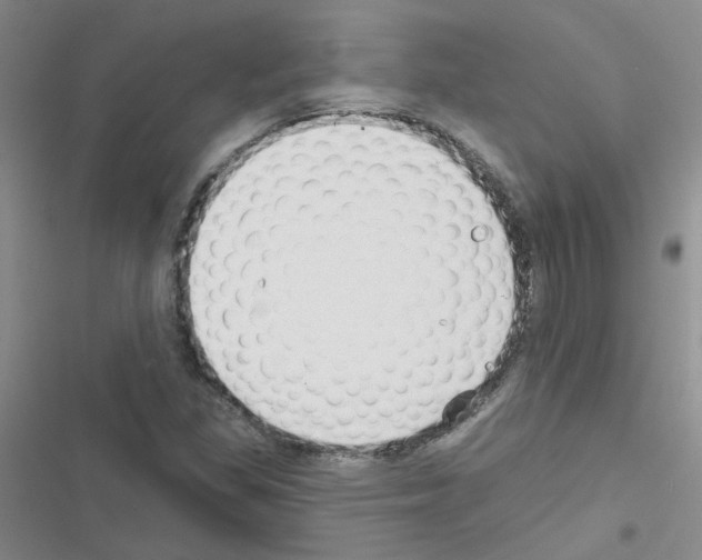 X0000116551309201001211153