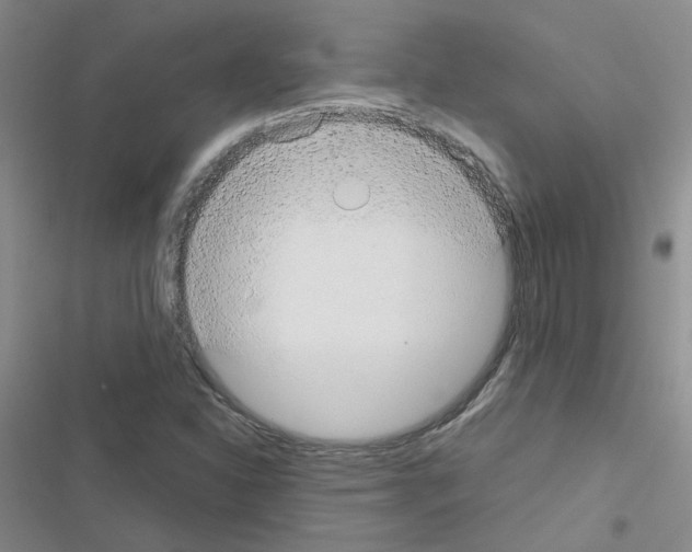 X0000116551310201001211153