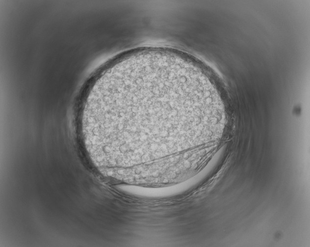 X0000116551311201001211153