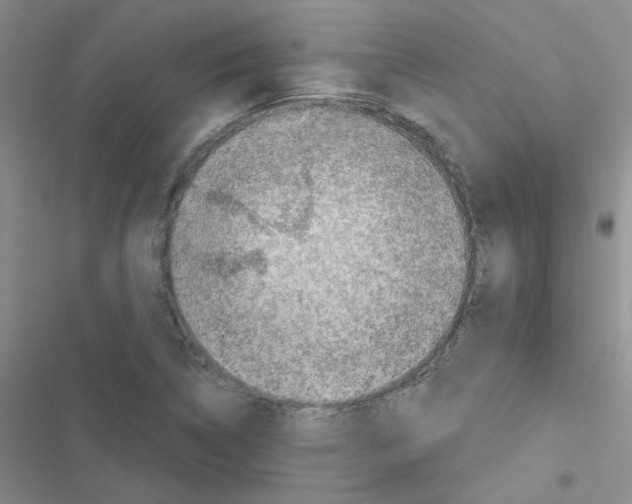 X0000116551314201001211153