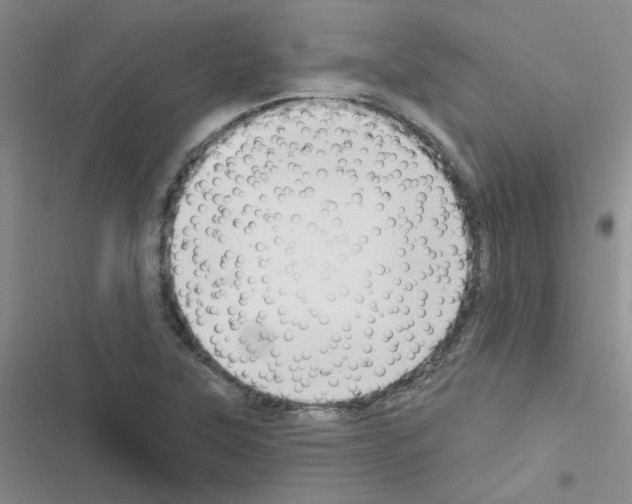 X0000116551315201001211153