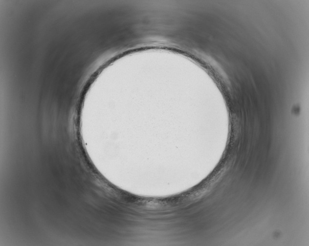 X0000116551318201001211153