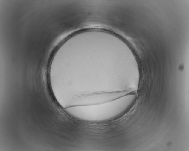 X0000116551319201001211153