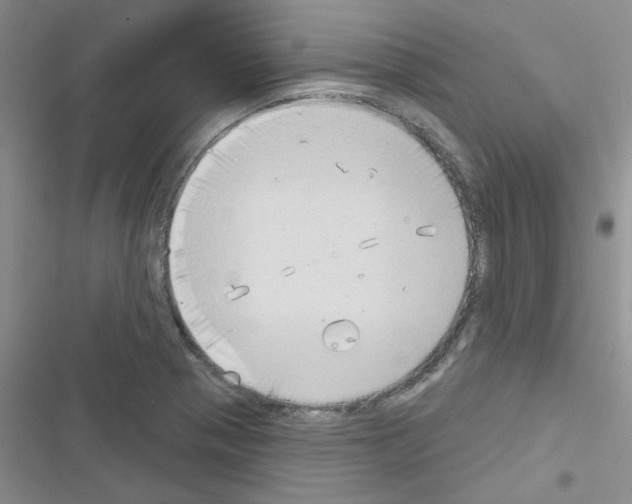 X0000116551321201001211153