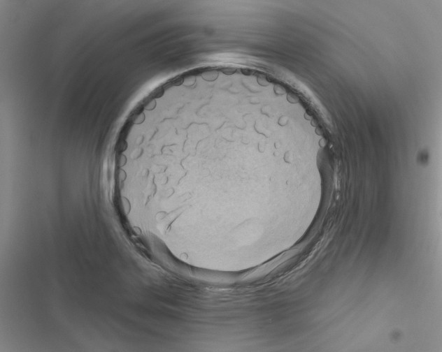 X0000116551323201001211153