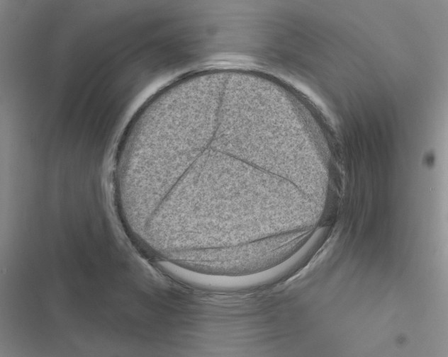 X0000116551325201001211153