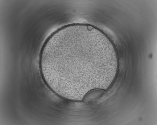 X0000116551326201001211153