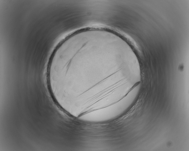 X0000116551327201001211153