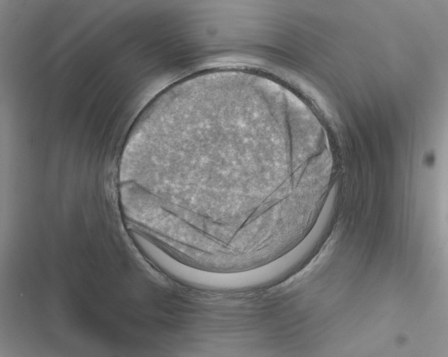 X0000116551329201001211153