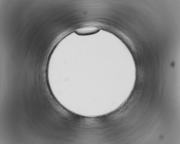 X0000116551330201001211154