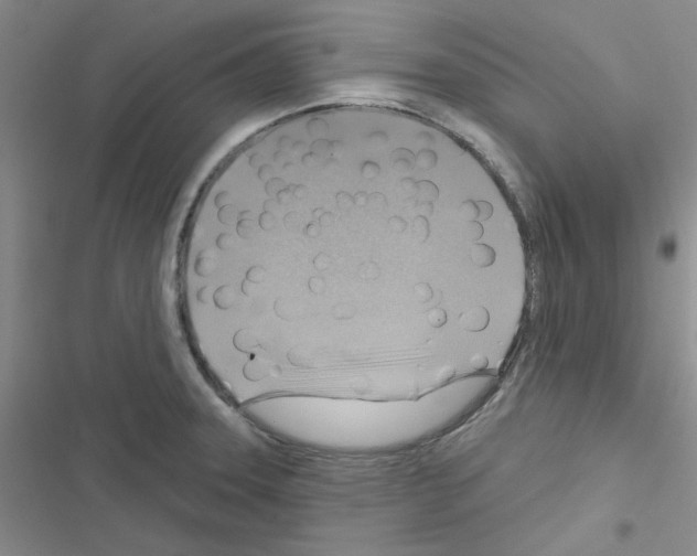 X0000116551331201001211154