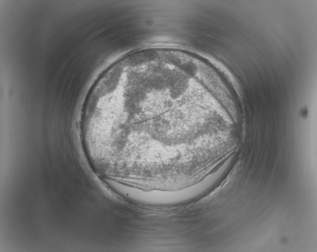 X0000116551333201001211154