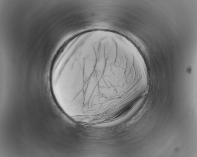 X0000116551334201001211154