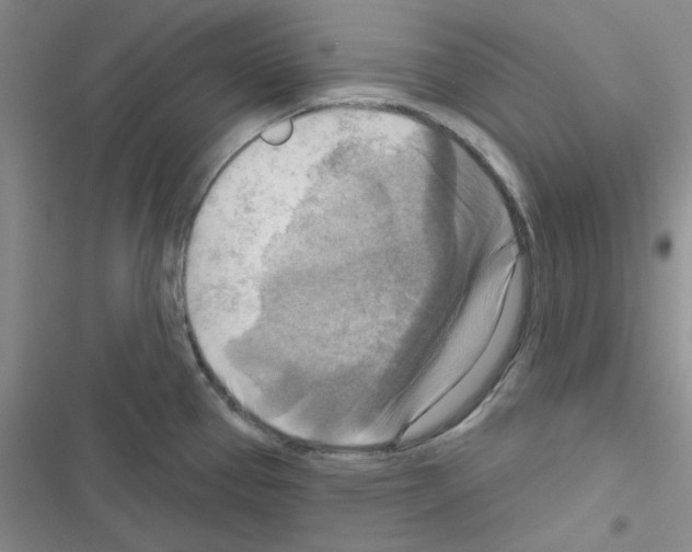 X0000116551337201001211154