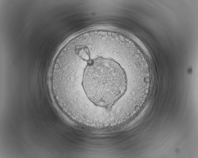 X0000116551338201001211154