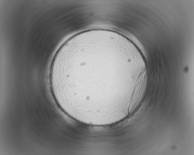 X0000116551339201001211154