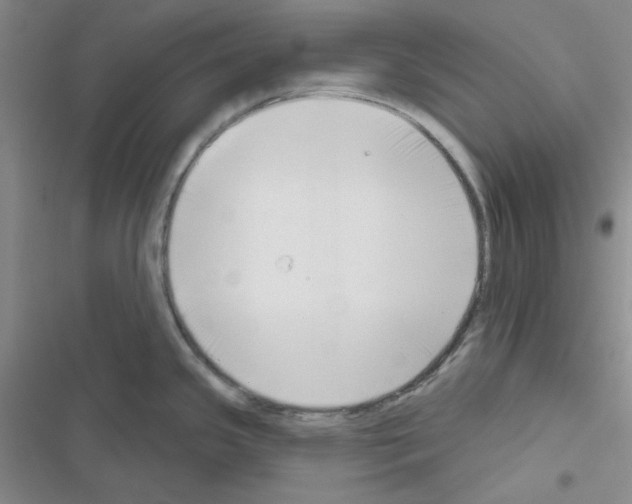 X0000116551341201001211154