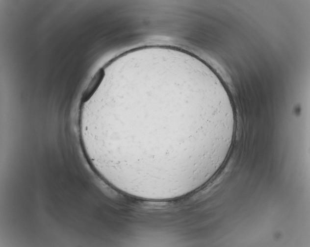 X0000116551342201001211154