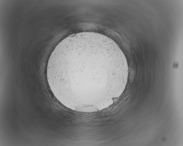 X0000116551345201001211153