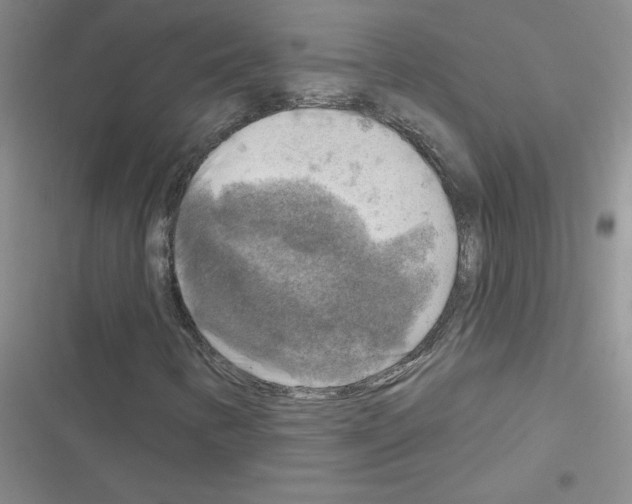 X0000116551346201001211153