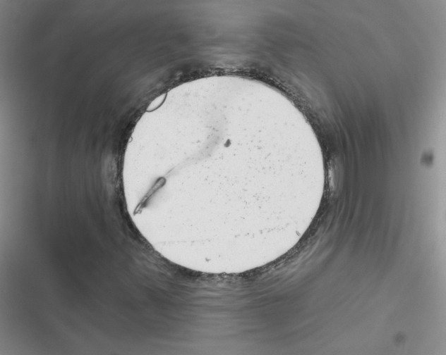 X0000116551347201001211153