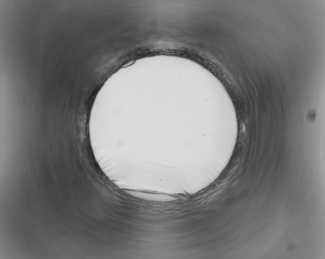 X0000116551348201001211153