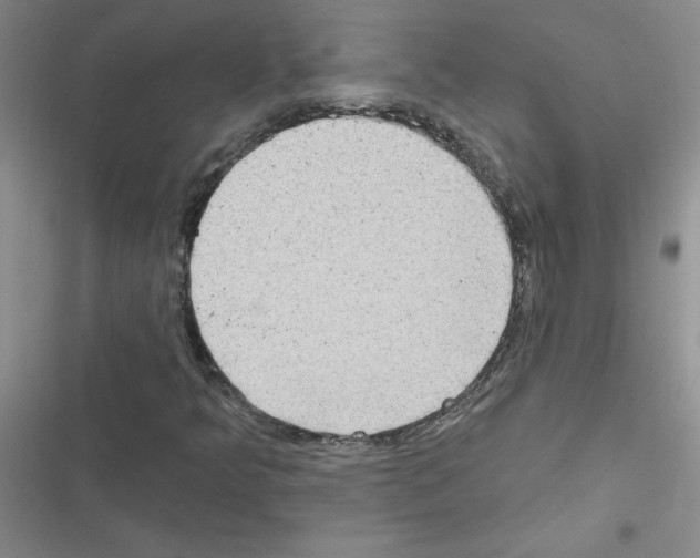 X0000116551349201001211153