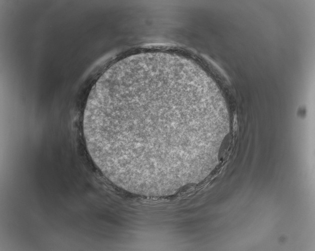 X0000116551351201001211153