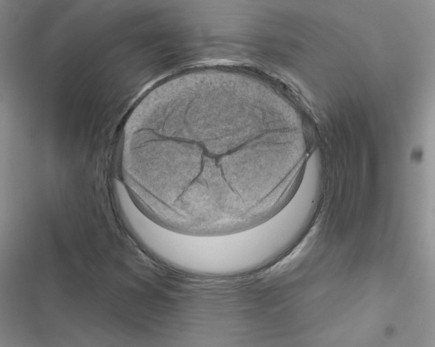 X0000116551353201001211153