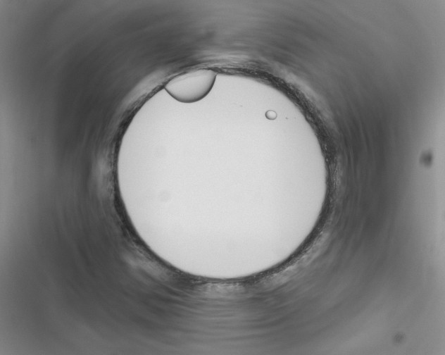 X0000116551354201001211153